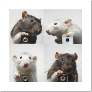 Say Cheese–Rat Photographers Posters and Art